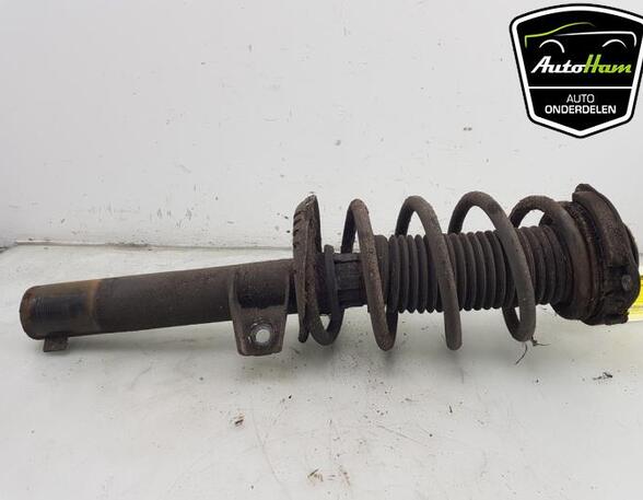 Shock Absorber VW CADDY III MPV (2KB, 2KJ, 2CB, 2CJ)