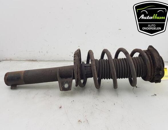 Shock Absorber VW CADDY III MPV (2KB, 2KJ, 2CB, 2CJ)