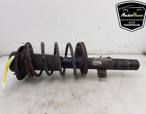 Shock Absorber PEUGEOT 206 Hatchback (2A/C), PEUGEOT 206 Saloon, PEUGEOT 206+ (2L_, 2M_)