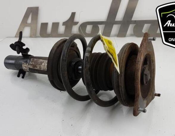 Shock Absorber MINI MINI (R50, R53), MINI MINI (R56)