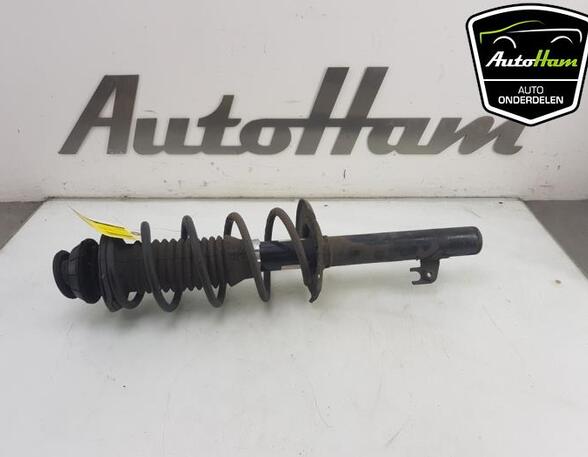 Shock Absorber PEUGEOT 107 (PM_, PN_), TOYOTA AYGO (_B1_), CITROËN C1 (PM_, PN_)