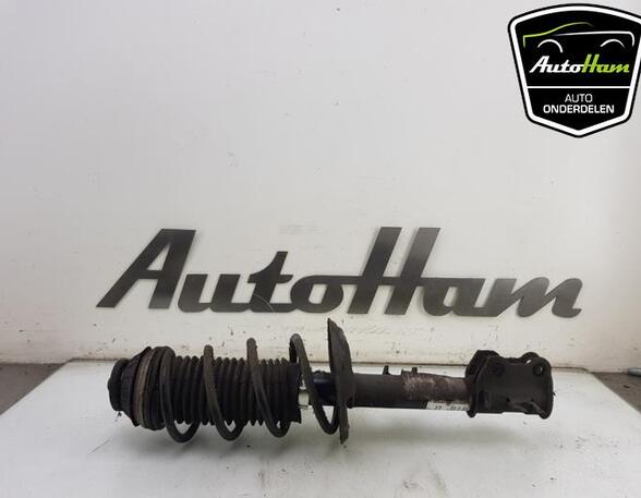 Shock Absorber FIAT PANDA (312_, 319_), FIAT PANDA VAN (312_, 519_)