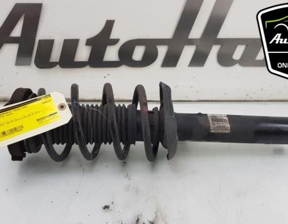 Shock Absorber VW JETTA IV (162, 163, AV3, AV2)