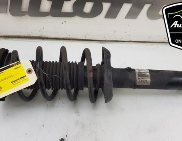 Shock Absorber VW JETTA IV (162, 163, AV3, AV2)