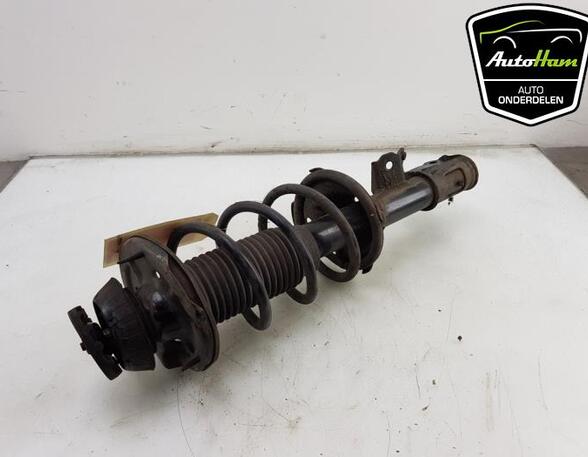 Shock Absorber HYUNDAI i10 (PA)