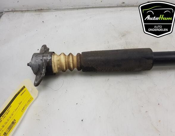 Shock Absorber VW POLO (6R1, 6C1), VW POLO Van (6R), SEAT IBIZA III (6L1), SEAT IBIZA IV (6J5, 6P1)