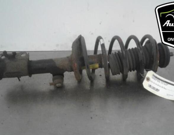 Shock Absorber CHEVROLET KALOS, DAEWOO KALOS (KLAS)