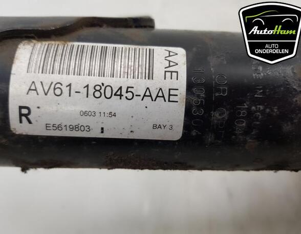 Shock Absorber FORD C-MAX II (DXA/CB7, DXA/CEU)