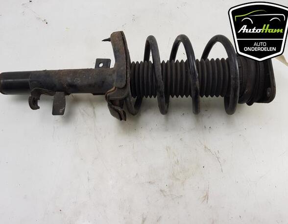 Shock Absorber FORD C-MAX II (DXA/CB7, DXA/CEU)