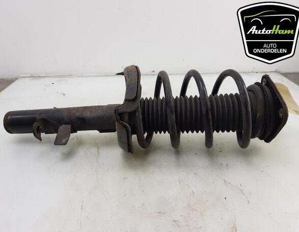 Shock Absorber FORD C-MAX II (DXA/CB7, DXA/CEU)