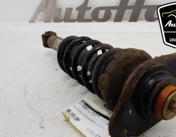 Shock Absorber MINI MINI (R50, R53), MINI MINI (R56)