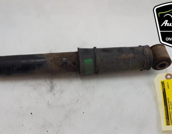 Shock Absorber RENAULT KANGOO Express (FW0/1_)