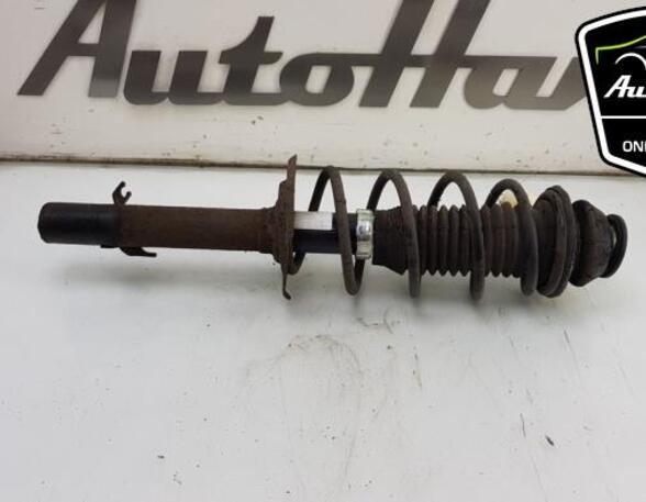 Shock Absorber PEUGEOT 107 (PM_, PN_), TOYOTA AYGO (_B1_), CITROËN C1 (PM_, PN_)