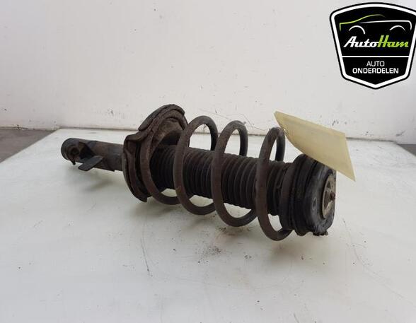 Shock Absorber FORD C-MAX II (DXA/CB7, DXA/CEU), FORD GRAND C-MAX (DXA/CB7, DXA/CEU)