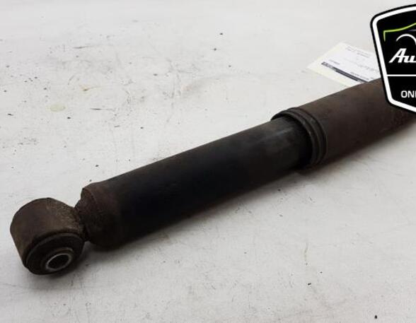 Shock Absorber FIAT PANDA (169_)