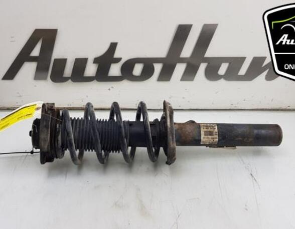 Shock Absorber VW TOURAN (1T1, 1T2), VW TOURAN VAN (1T1, 1T2)