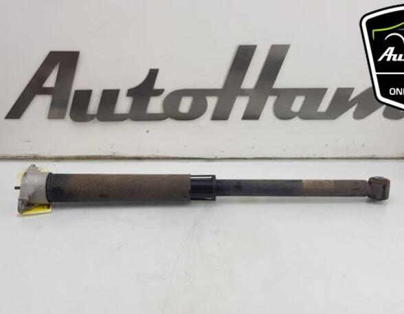 Shock Absorber FORD FIESTA VII (HJ, HF)