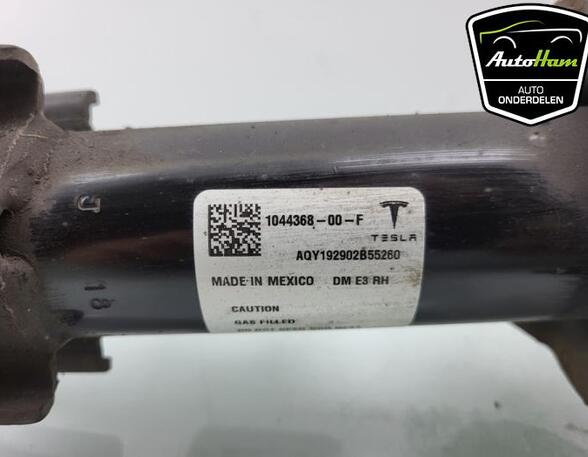 Shock Absorber TESLA MODEL 3 (5YJ3)