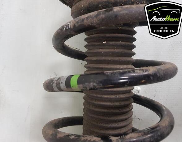 Shock Absorber VW TRANSPORTER V Van (7HA, 7HH, 7EA, 7EH)