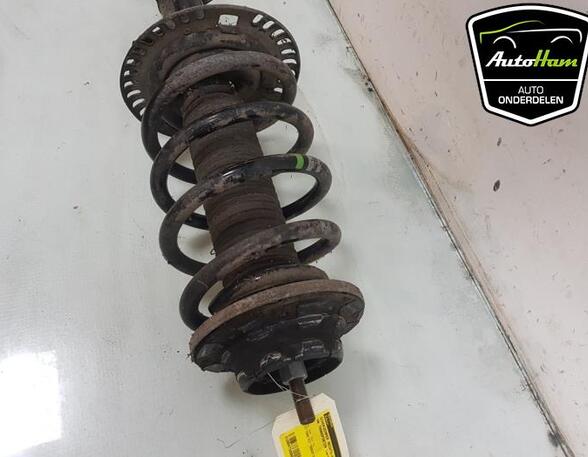 Shock Absorber VW TRANSPORTER V Van (7HA, 7HH, 7EA, 7EH)