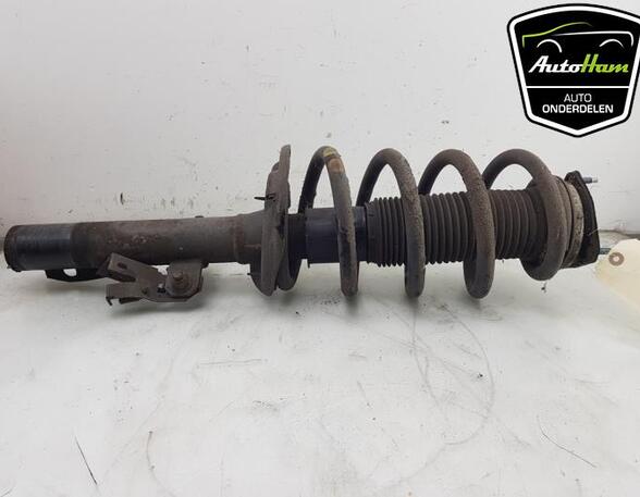 Shock Absorber FORD TRANSIT V363 Bus (FAD, FBD), FORD TRANSIT V363 Van (FCD, FDD)