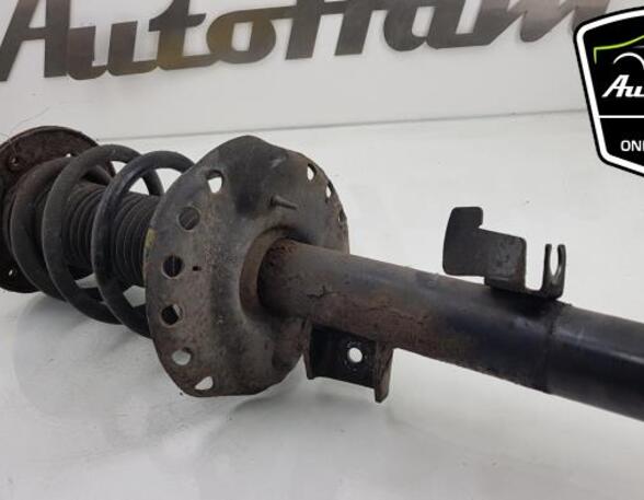 Shock Absorber FORD GALAXY (WA6), FORD S-MAX (WA6)