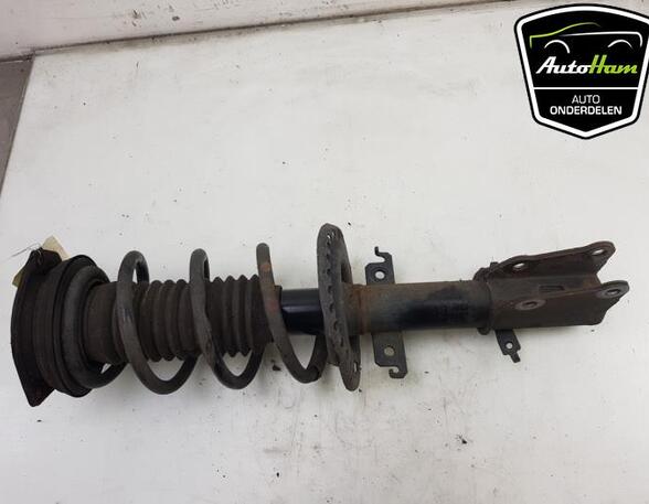 Shock Absorber RENAULT KANGOO / GRAND KANGOO (KW0/1_)