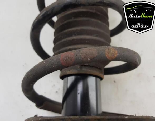 Shock Absorber RENAULT KANGOO / GRAND KANGOO (KW0/1_)