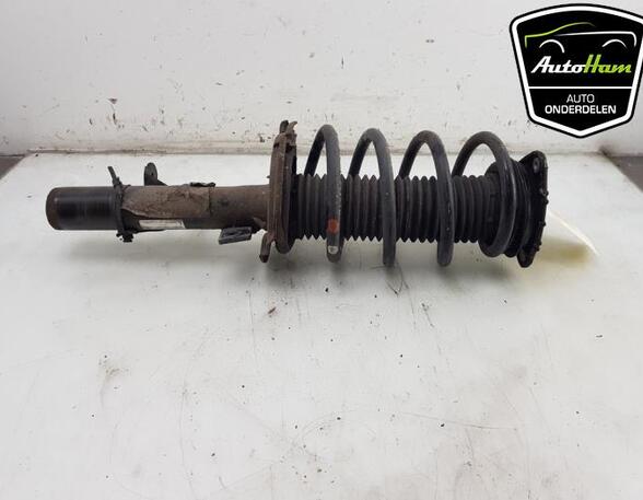 Shock Absorber FORD C-MAX II (DXA/CB7, DXA/CEU)