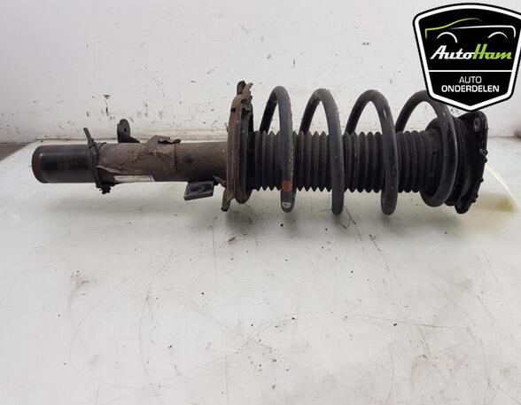 Shock Absorber FORD C-MAX II (DXA/CB7, DXA/CEU)