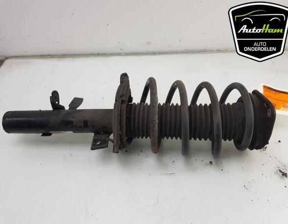 Shock Absorber FORD FOCUS III Turnier, FORD C-MAX II (DXA/CB7, DXA/CEU)