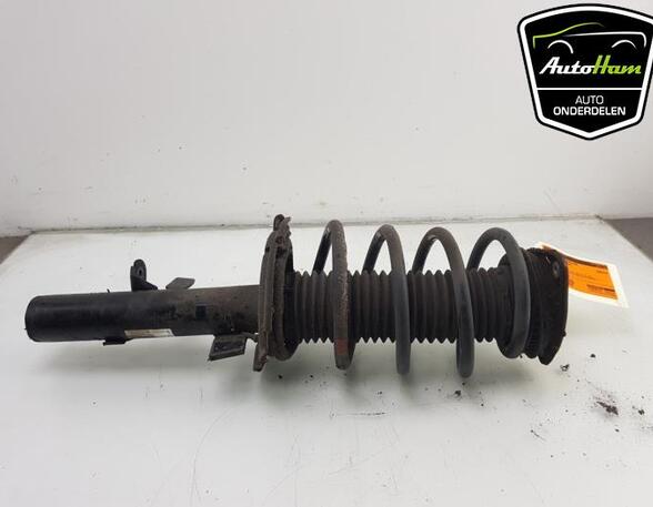 Shock Absorber FORD FOCUS III Turnier, FORD C-MAX II (DXA/CB7, DXA/CEU)