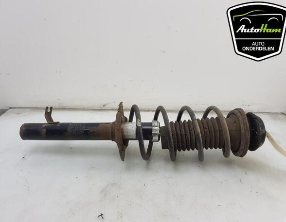 Shock Absorber PEUGEOT 107 (PM_, PN_), TOYOTA AYGO (_B1_), CITROËN C1 (PM_, PN_)