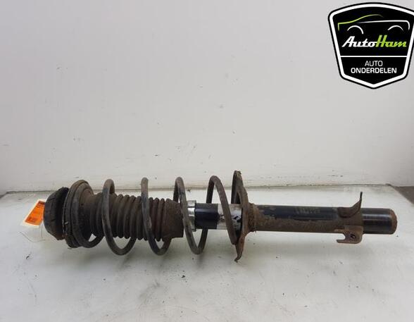 Shock Absorber PEUGEOT 107 (PM_, PN_), TOYOTA AYGO (_B1_), CITROËN C1 (PM_, PN_)