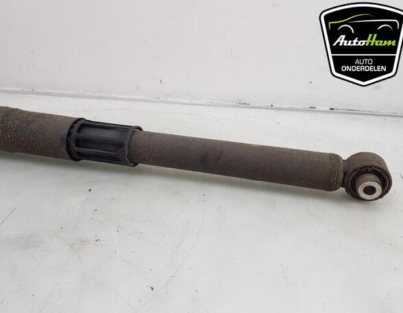 Shock Absorber VW TOURAN (5T1)