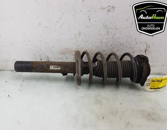 Shock Absorber SKODA OCTAVIA II Combi (1Z5), VW GOLF VI (5K1), VW GOLF VI Van (5K1_), VW GOLF VAN VI Variant (AJ5)