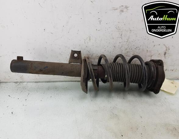 Shock Absorber SKODA OCTAVIA II Combi (1Z5), VW GOLF VI (5K1), VW GOLF VI Van (5K1_), VW GOLF VAN VI Variant (AJ5)