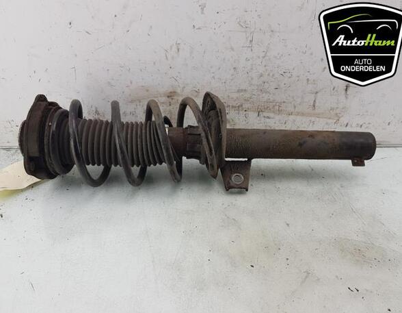 Shock Absorber SKODA OCTAVIA II Combi (1Z5), VW GOLF VI (5K1), VW GOLF VI Van (5K1_), VW GOLF VAN VI Variant (AJ5)