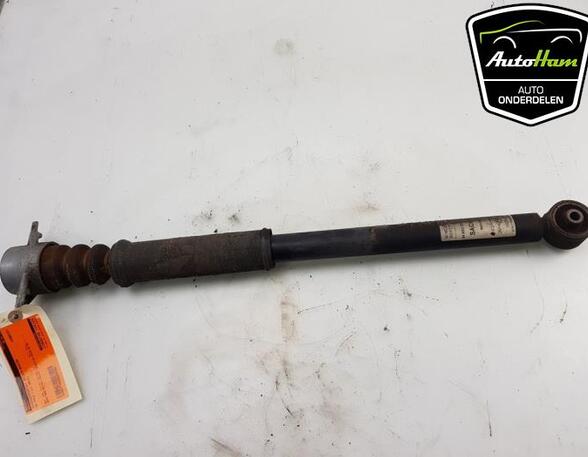 Shock Absorber VW POLO (6R1, 6C1)