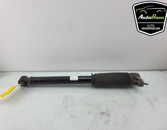 Shock Absorber TESLA MODEL 3 (5YJ3)