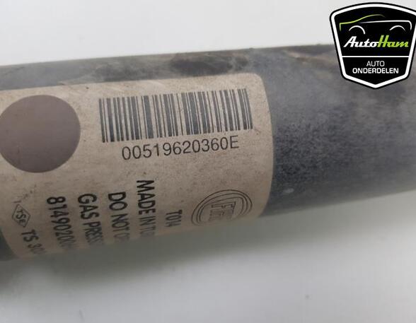 Shock Absorber OPEL COMBO Box Body/MPV (X12), FIAT DOBLO Cargo (263_)