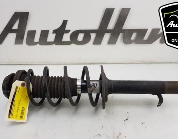 Shock Absorber PEUGEOT 107 (PM_, PN_), TOYOTA AYGO (_B1_), CITROËN C1 (PM_, PN_)