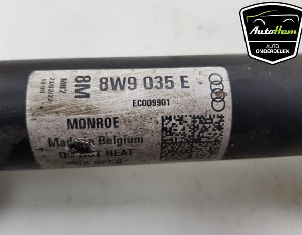 Shock Absorber AUDI A4 Avant (8W5, 8WD, B9)