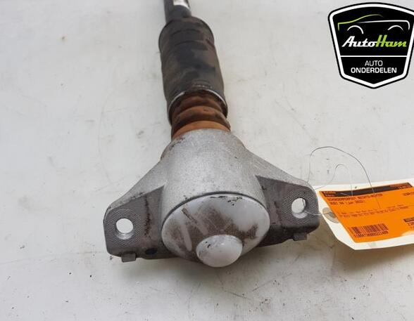 Shock Absorber AUDI A4 Avant (8W5, 8WD, B9)