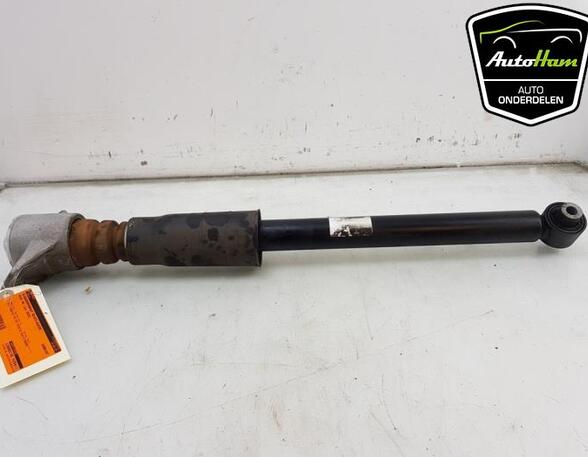 Shock Absorber AUDI A4 Avant (8W5, 8WD, B9)