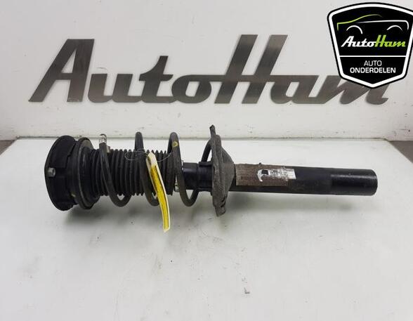 Shock Absorber SEAT LEON (KL1)