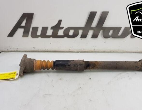 Shock Absorber AUDI A6 (4F2, C6)