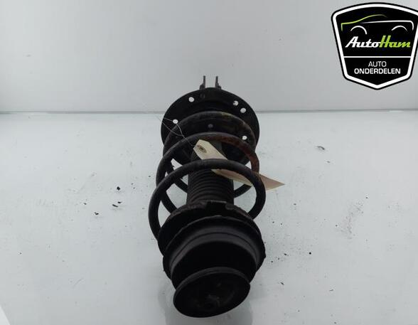 Shock Absorber FIAT 500 (312_), FIAT 500 C (312_)