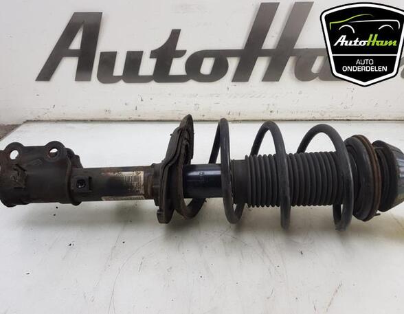 Shock Absorber KIA RIO III (UB)