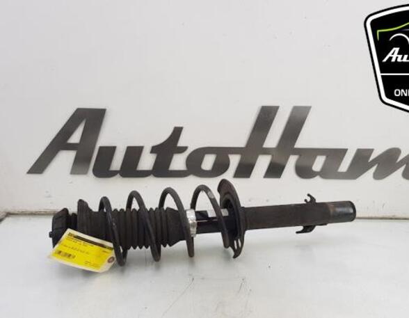 Shock Absorber TOYOTA AYGO (_B1_), CITROËN C1 (PM_, PN_), PEUGEOT 107 (PM_, PN_)